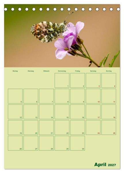 Produktbild: Die Welt der Insekten (Tischkalender 2027 DIN A5 hoch), CALVENDO Monatskalender