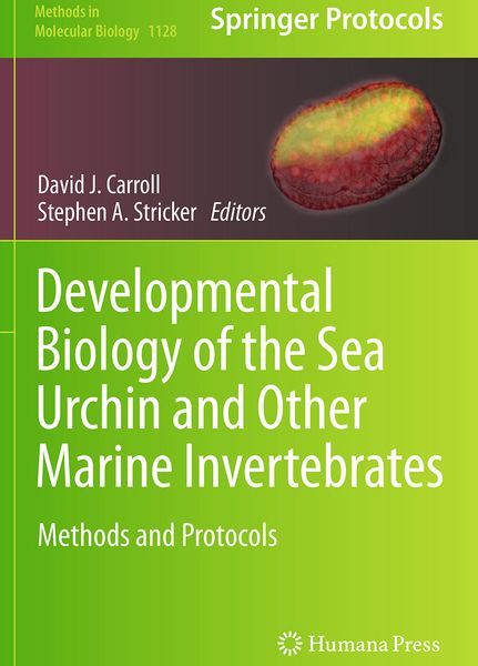 Produktbild: Developmental Biology of the Sea Urchin and Other Marine Invertebrates
