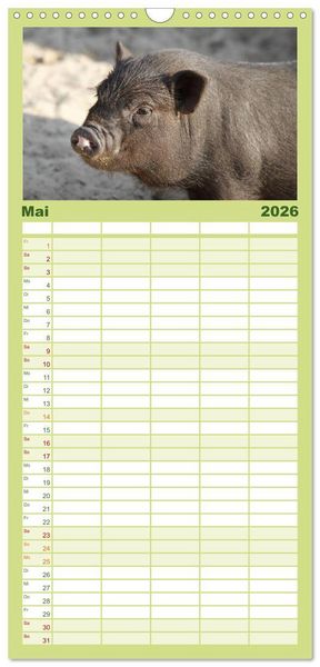 Produktbild: Familienplaner 2026 - Schwein gehabt! mit 5 Spalten (Wandkalender, 21 x 45 cm) CALVENDO