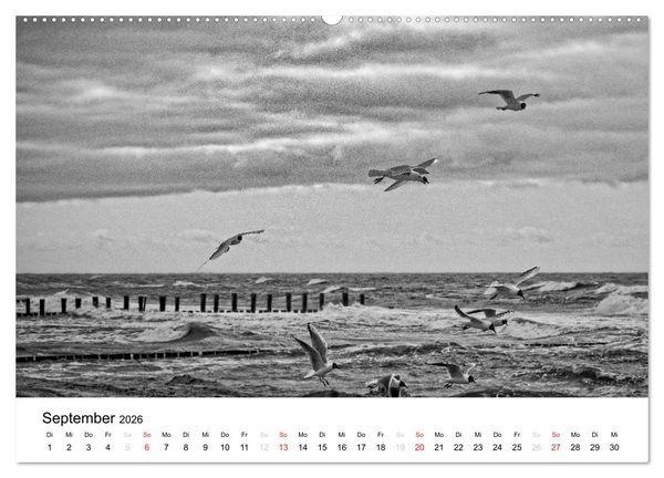 Produktbild: Ostseebad Zingst - Impressionen in Schwarz-Wei&szlig; (Wandkalender 2026 DIN A2 quer), CALVENDO Monatskalender