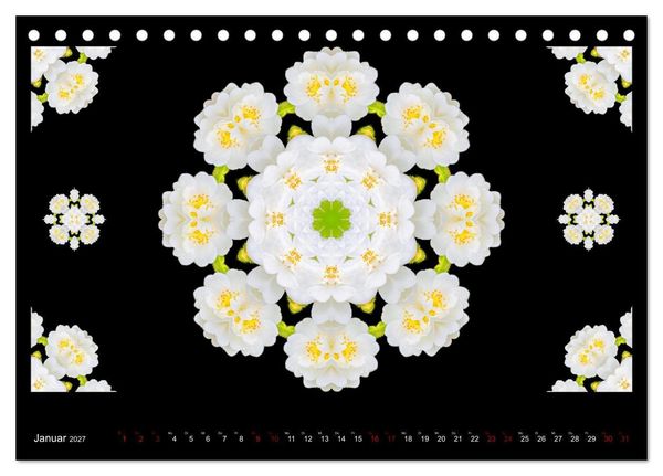 Produktbild: ROSEN MANDALAS (Tischkalender 2027 DIN A5 quer), CALVENDO Monatskalender