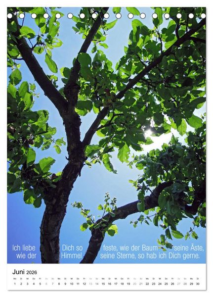 Produktbild: Licht Farbe Natur (Tischkalender 2026 DIN A5 hoch), CALVENDO Monatskalender