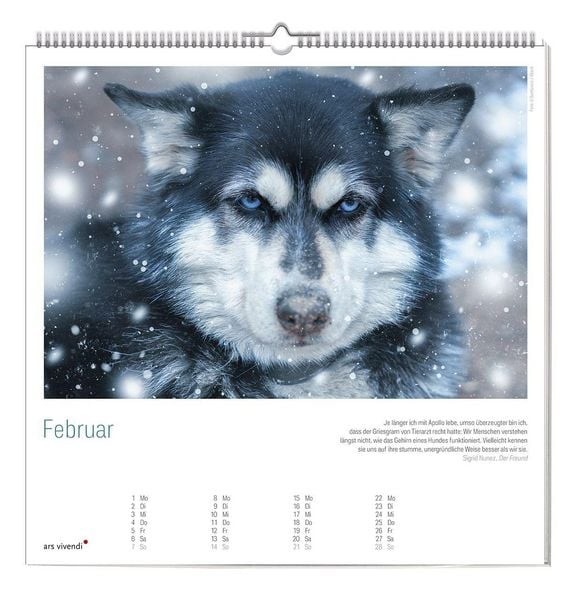 Produktbild: Der gro&szlig;e literarische Hunde Kalender 2027