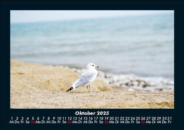 Produktbild: Meereslandschaft 2025 Fotokalender DIN A5