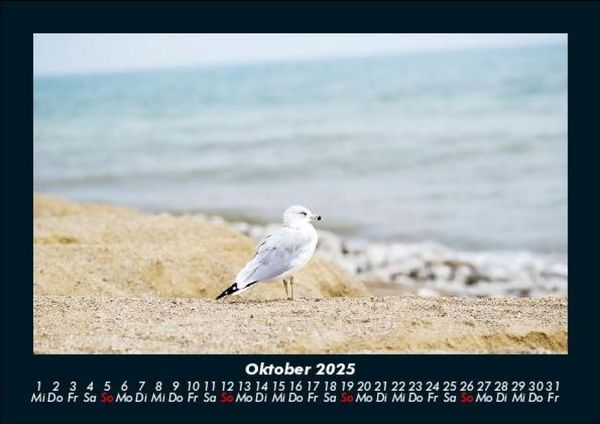 Produktbild: Meereslandschaft 2025 Fotokalender DIN A5