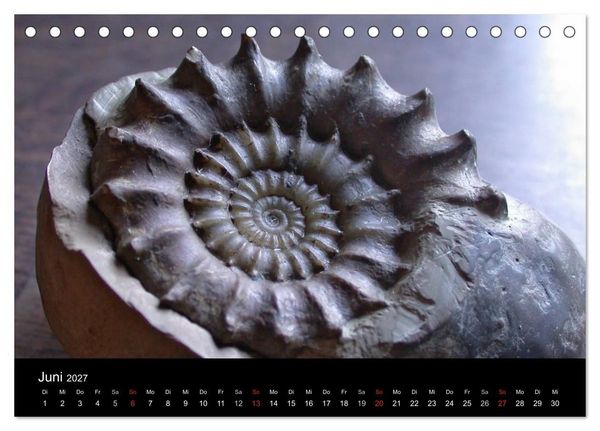 Produktbild: Fossilien - Zeugen der Urzeit (Tischkalender 2027 DIN A5 quer), CALVENDO Monatskalender