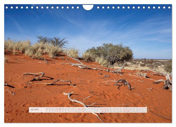 Produktbild: Namibia &ndash; Farben des Lebens (Wandkalender 2026 DIN A4 quer), CALVENDO Monatskalender
