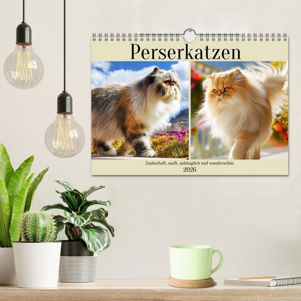 Produktbild: Perserkatzen. Zauberhaft, sanft, anh&auml;nglich und wundersch&ouml;n (Wandkalender 2026 DIN A4 quer), CALVENDO Monatskalender