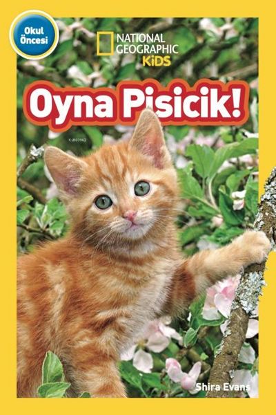 Produktbild: Oyna Pisicik