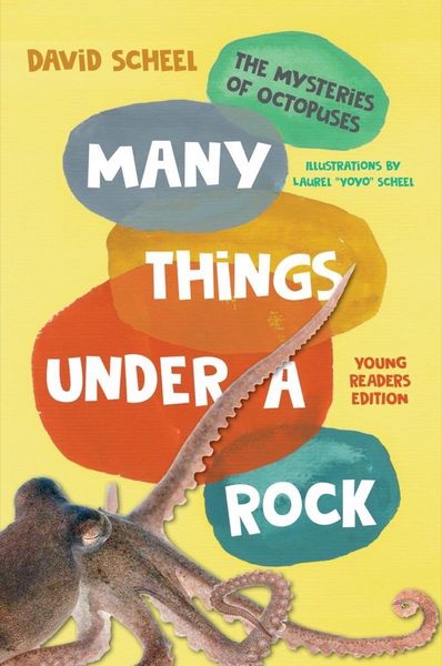 Produktbild: Many Things Under a Rock Young Readers Edition