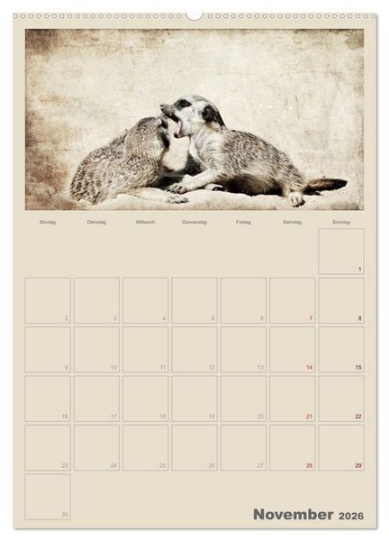 Produktbild: Lustige Erdm&auml;nnchen (Wandkalender 2026 DIN A2 hoch), CALVENDO Monatskalender