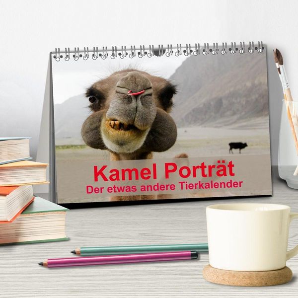 Produktbild: Kamel Portr&auml;t (Tischkalender 2027 DIN A5 quer), CALVENDO Monatskalender