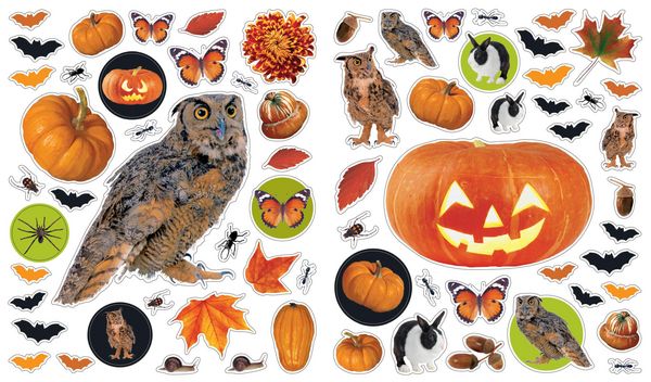 Produktbild: Eyelike Stickers: Halloween