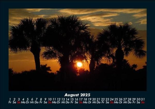 Produktbild: B&auml;ume 2025 Fotokalender DIN A5