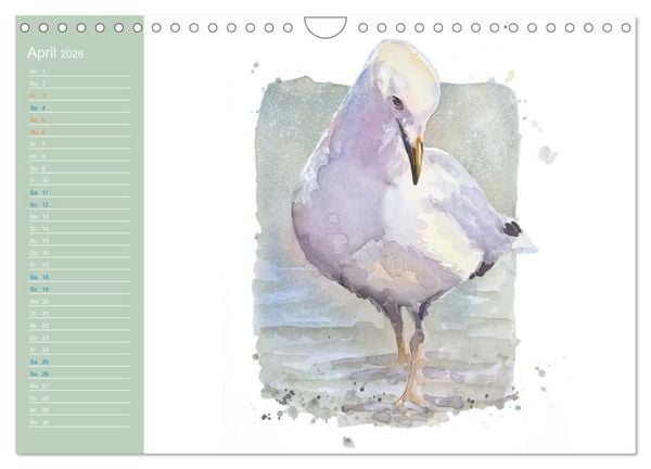 Produktbild: M&ouml;wen - Aquarelle von Julia Pasinski (Wandkalender 2026 DIN A4 quer), CALVENDO Monatskalender
