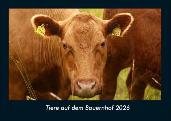 Tiere auf dem Bauernhof 2026 Fotokalender DIN A4