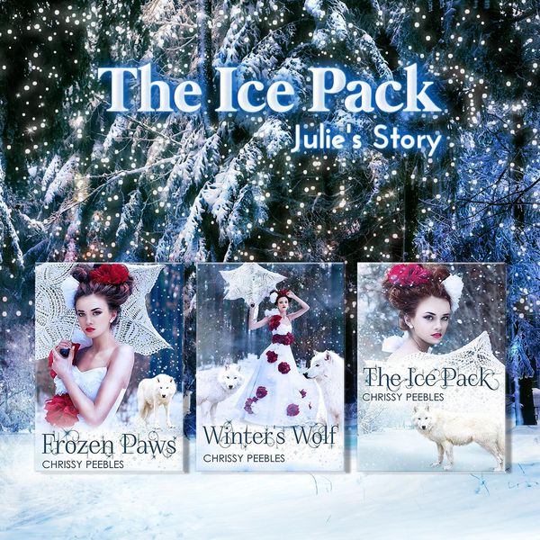 Produktbild: The Ice Pack Box Set: Julie's Story