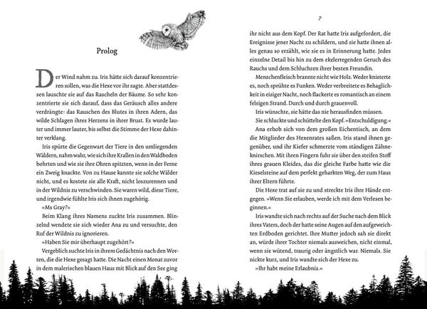 Produktbild: Wild is the Witch. Verfluchte N&auml;he