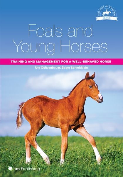 Produktbild: Foals and Young Horses