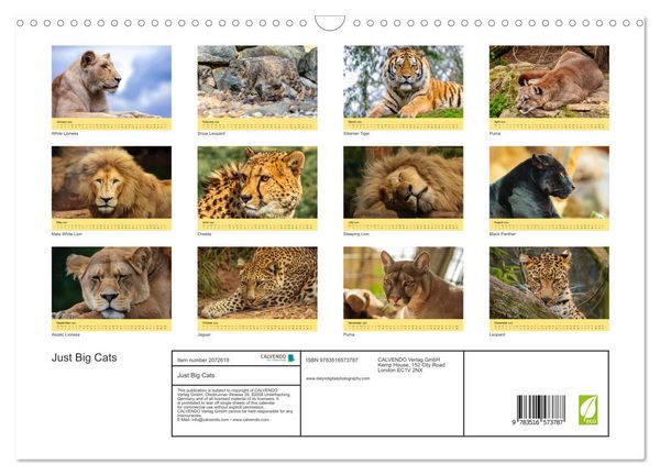Produktbild: Just Big Cats (Wall Calendar 2026 DIN A3 landscape), CALVENDO 12 Month Wall Calendar
