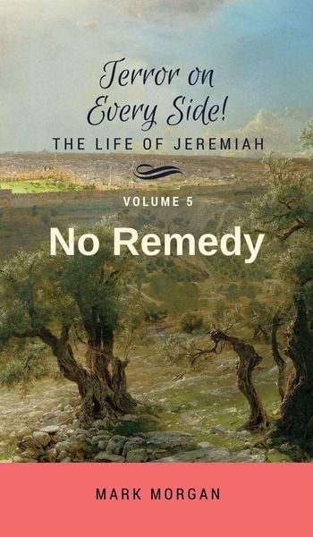 Produktbild: No Remedy