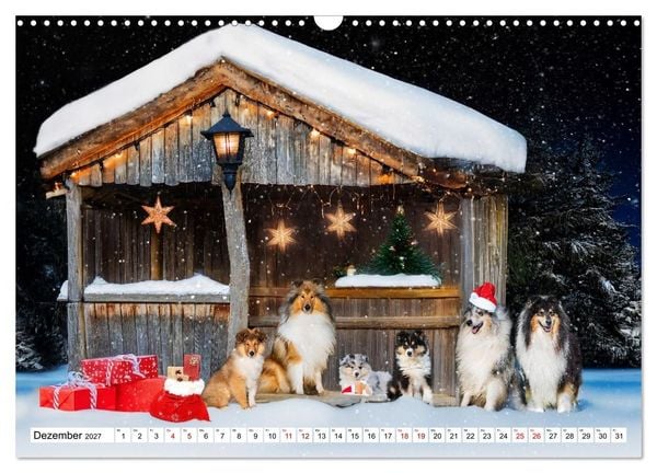 Produktbild: Traumhund Collie - Mein bester Freund (Wandkalender 2027 DIN A3 quer), CALVENDO Monatskalender