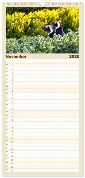 Produktbild: Familienplaner 2026 - S&uuml;dafrika - Garden Route mit 5 Spalten (Wandkalender, 21 x 45 cm) CALVENDO