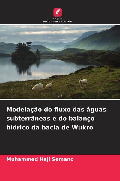 Produktbild: Modela&ccedil;&atilde;o do fluxo das &aacute;guas subterr&acirc;neas e do balan&ccedil;o h&iacute;drico da bacia de Wukro