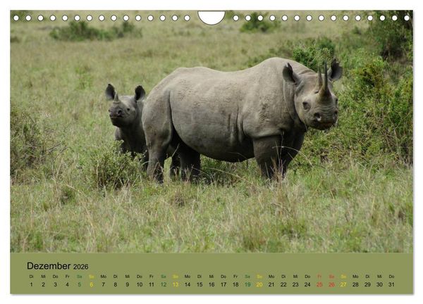 Produktbild: Safari Impressionen / Kenia (Wandkalender 2026 DIN A4 quer), CALVENDO Monatskalender