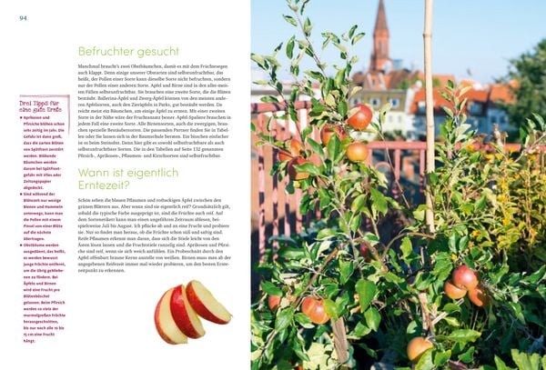 Produktbild: Mein wundervoller Naschbalkon