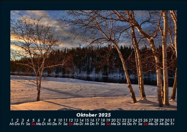 Produktbild: B&auml;ume 2025 Fotokalender DIN A5