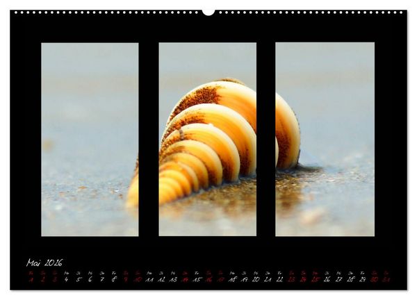 Produktbild: Die Kunst der Natur - Dreifach Stilvoll (hochwertiger Premium Wandkalender 2026 DIN A2 quer), Kunstdruck in Hochglanz