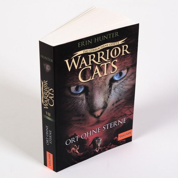 Produktbild: Warrior Cats - Das gebrochene Gesetz. Ort ohne Sterne
