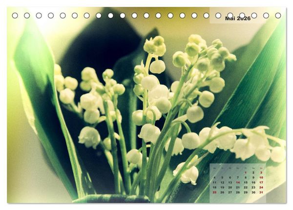 Produktbild: Bl&uuml;ten im Retro-Style (Tischkalender 2026 DIN A5 quer), CALVENDO Monatskalender