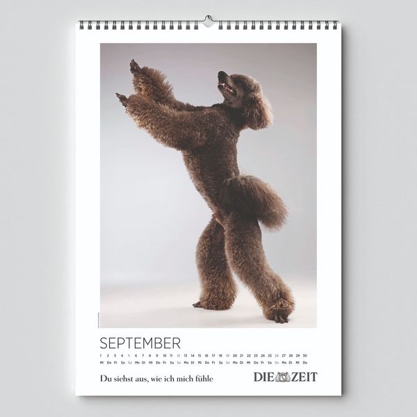 Produktbild: DIE ZEIT Kalender 2027