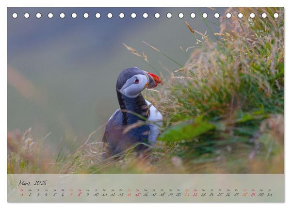 Produktbild: Naturwunder in Island (Tischkalender 2026 DIN A5 quer), CALVENDO Monatskalender