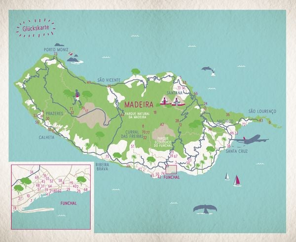 Produktbild: Gl&uuml;cksorte auf Madeira
