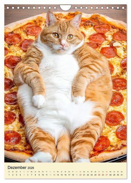 Produktbild: FETTE KATZEN - Foodporn auf vier Pfoten (Wandkalender 2026 DIN A4 hoch), CALVENDO Monatskalender