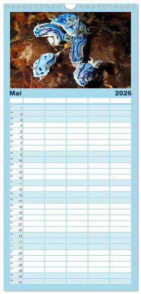 Produktbild: Familienplaner 2026 - Meeres-Schnecken mit 5 Spalten (Wandkalender, 21 x 45 cm) CALVENDO
