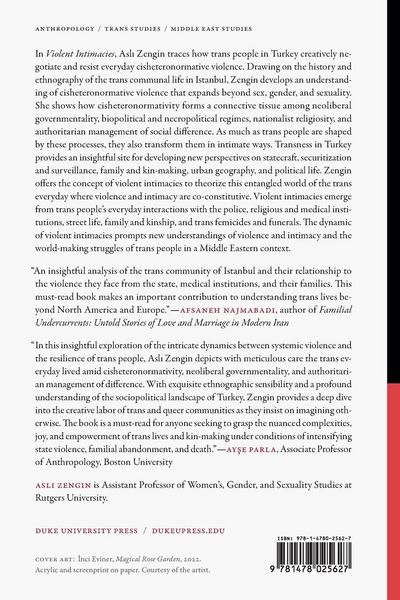 Produktbild: Violent Intimacies