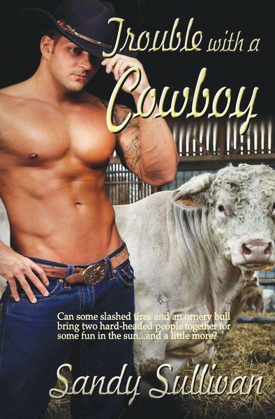 Produktbild: Trouble with a Cowboy