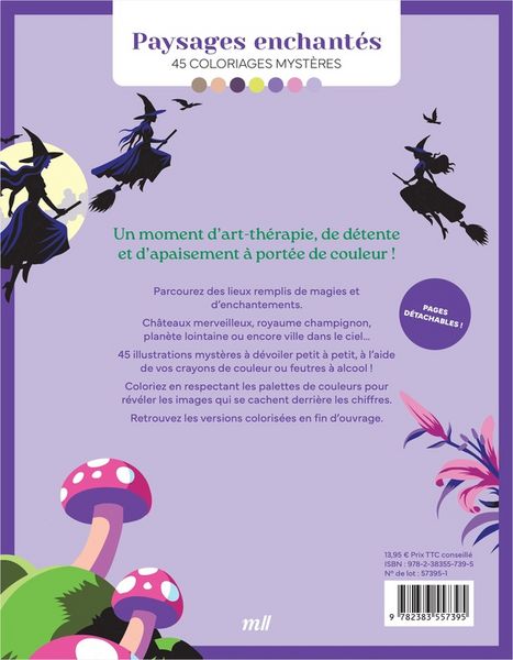 Produktbild: Paysages enchant&eacute;s : 45 coloriages myst&egrave;res