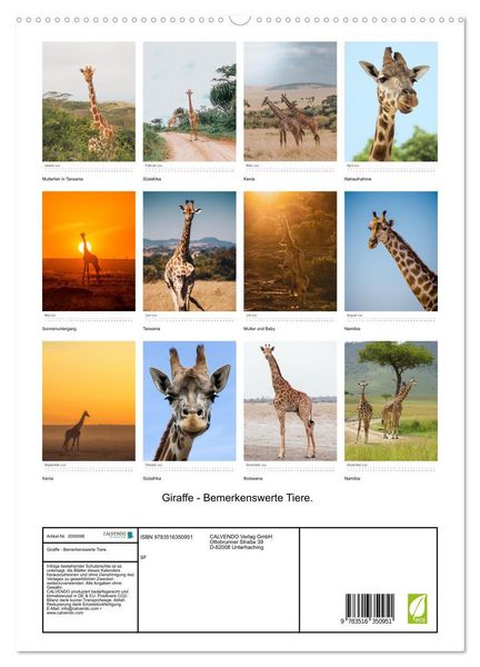 Produktbild: Giraffe - Bemerkenswerte Tiere. (hochwertiger Premium Wandkalender 2026 DIN A2 hoch), Kunstdruck in Hochglanz