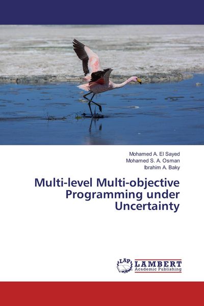 Produktbild: Multi-level Multi-objective Programming under Uncertainty