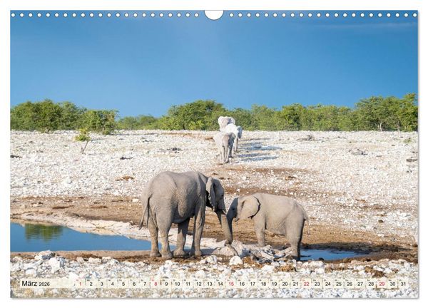 Produktbild: Elefanten - Sanfte Riesen Afrikas (Wandkalender 2026 DIN A3 quer), CALVENDO Monatskalender