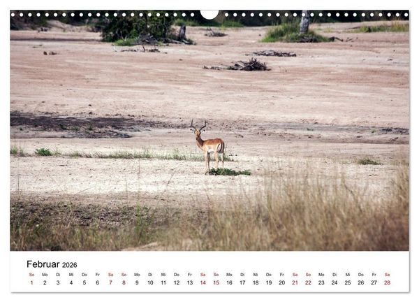 Produktbild: Sambia und der Sambesi (Wandkalender 2026 DIN A3 quer), CALVENDO Monatskalender