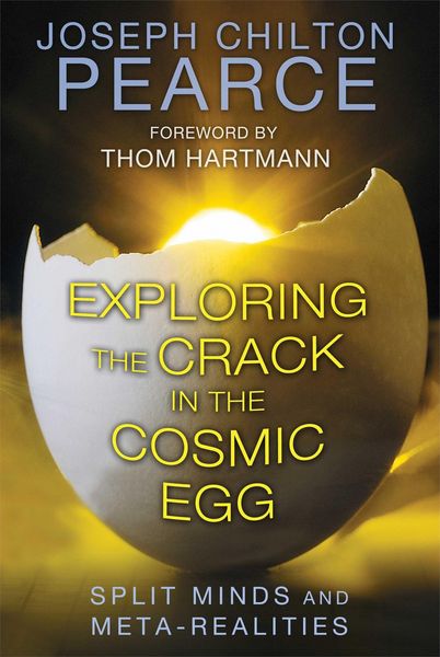 Produktbild: Exploring the Crack in the Cosmic Egg