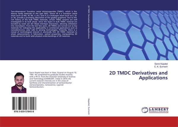 Produktbild: 2D TMDC Derivatives and Applications