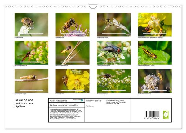 Produktbild: La vie de nos prairies - Les dipt&egrave;res (Calendrier mural 2026 DIN A3 vertical), CALVENDO calendrier mensuel