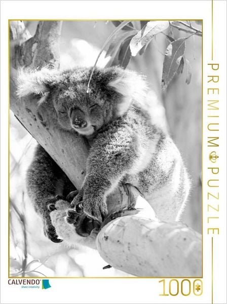 Produktbild: CALVENDO Puzzle Ein Motiv aus dem Kalender Koala Ein B&auml;r, der kein B&auml;r ist | 1000 Teile Lege-Gr&ouml;&szlig;e 64x48cm Foto-Puzzle f&uuml;r gl&uuml;ckliche Stunden